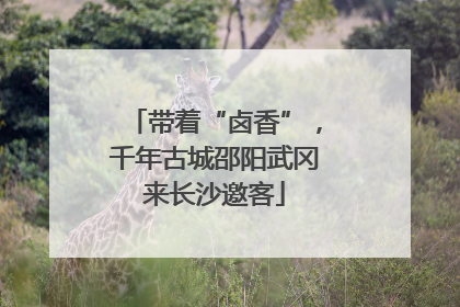 带着“卤香”，千年古城邵阳武冈来长沙邀客